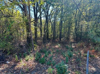 Lake Lot For Sale in Gun Barrel City, Texas