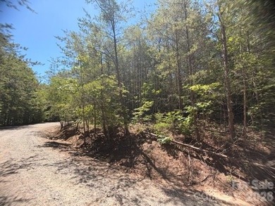 This beautiful 1.76-acre homesite is located on Sundance Drive - photo 3