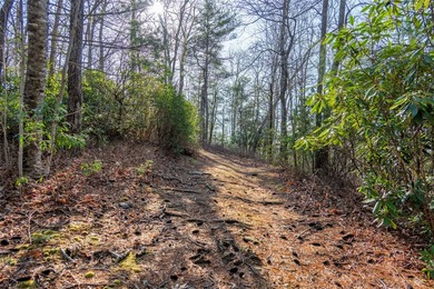 *Kalmia Knoll* perched above Lake Toxaway, is an exceptional - photo 8