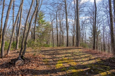 *Kalmia Knoll* perched above Lake Toxaway, is an exceptional - photo 9
