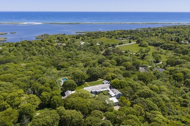 Horizon House sits atop one of Chilmark's most private and - photo 1