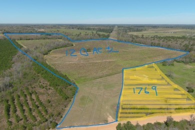 Chattahoochee River Lot Sale Pending in Columbia Alabama