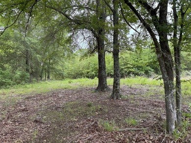 (private lake, pond, creek) Acreage For Sale in Alba Texas