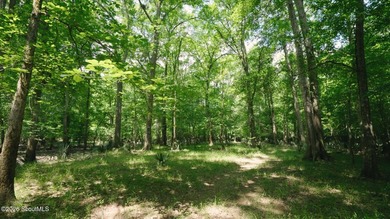 This exceptional property spans 1,376.50 acres and is nestled - photo 13