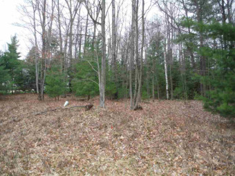 Houghton Lake Lot For Sale in Prudenville Michigan