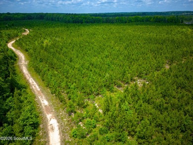 This exceptional property spans 1,376.50 acres and is nestled - photo 22