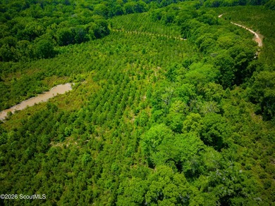 This exceptional property spans 1,376.50 acres and is nestled - photo 26