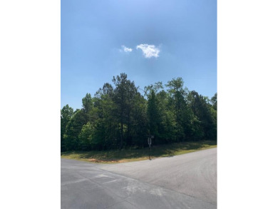 Lake Russell Acreage For Sale in Tignall Georgia