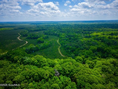This exceptional property spans 1,376.50 acres and is nestled - photo 31