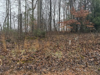 Lake Lot For Sale in Bronston, Kentucky