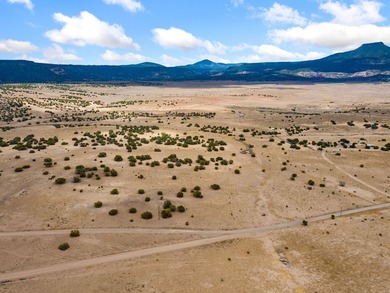 Nestled near the summit of the private, gated Laguna Acres - photo 7