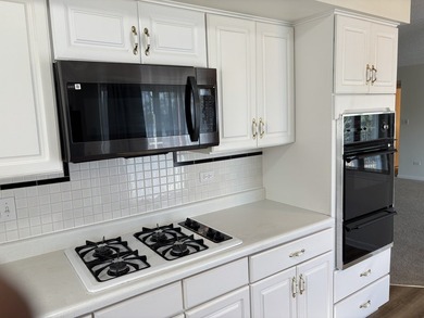 Set within Lakeview Club, a gated 55+ community in Chicago's - photo 8