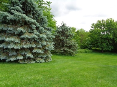 Galena Lake Lot For Sale in Galena Illinois