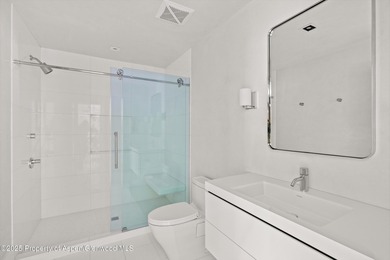 Unique opportunity to own one of Aspen's most magical - photo 11