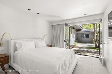 Unique opportunity to own one of Aspen's most magical - photo 17
