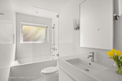 Unique opportunity to own one of Aspen's most magical - photo 18