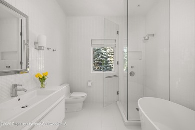 Unique opportunity to own one of Aspen's most magical - photo 20