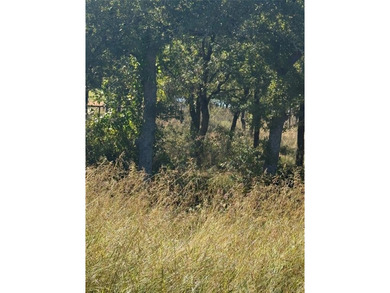 Lake Bridgeport Lot For Sale in Chico Texas