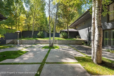 Unique opportunity to own one of Aspen's most magical - photo 25