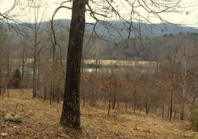 Almost 4 acres on the White River! - Lake Lot For Sale in Mountain Home, Arkansas