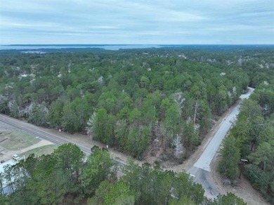 9.81 acres of unrestricted land in a growing community, minutes - photo 2