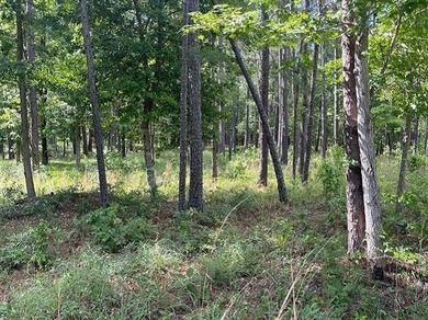 9.81 acres of unrestricted land in a growing community, minutes - photo 3