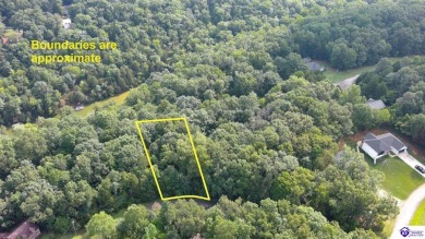 Lake Lot For Sale in Brandenburg, Kentucky