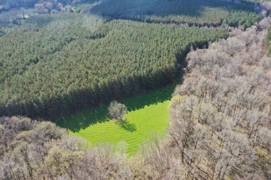 (private lake, pond, coastal) Acreage For Sale in Holly Springs Mississippi