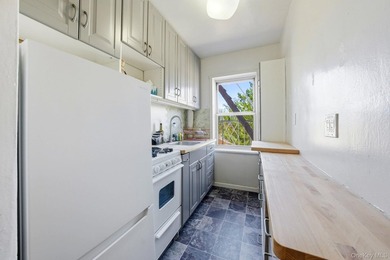 This bright and inviting one bedroom co-op is located on the - photo 6