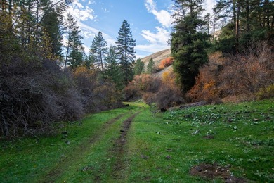 30,000+/- acre ranch on the Joseph Plains, this ranch features - photo 17