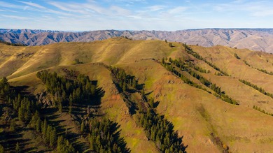 30,000+/- acre ranch on the Joseph Plains, this ranch features - photo 25