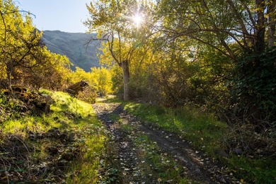 30,000+/- acre ranch on the Joseph Plains, this ranch features - photo 26
