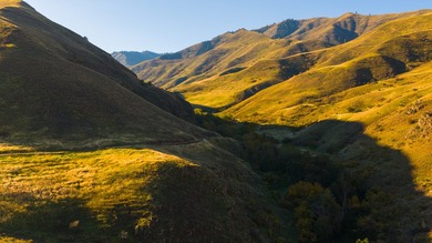 30,000+/- acre ranch on the Joseph Plains, this ranch features - photo 43