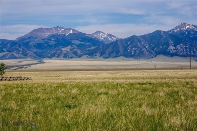 Madison River Acreage For Sale in Ennis Montana