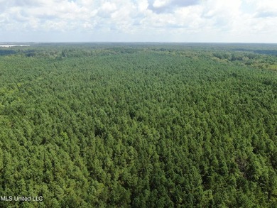 A prime investment opportunity with approximately 205 acres of - photo 15