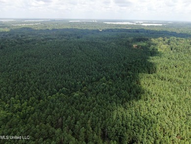 A prime investment opportunity with approximately 205 acres of - photo 17