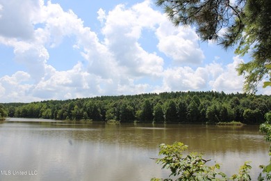 A prime investment opportunity with approximately 205 acres of - photo 21