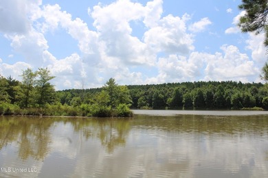 A prime investment opportunity with approximately 205 acres of - photo 22