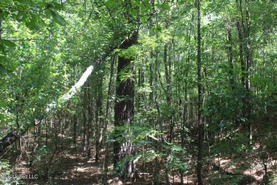 A prime investment opportunity with approximately 205 acres of - photo 23