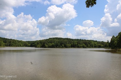 A prime investment opportunity with approximately 205 acres of - photo 25