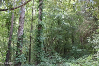 A prime investment opportunity with approximately 205 acres of - photo 26