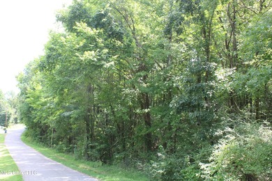 A prime investment opportunity with approximately 205 acres of - photo 28