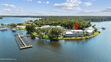 Lake Condo For Sale in Welaka, Florida