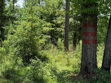 (private lake, pond, creek) Lot For Sale in Donalsonville Georgia