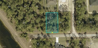 Lehigh Acres Area Lot For Sale in Lehigh Acres Florida