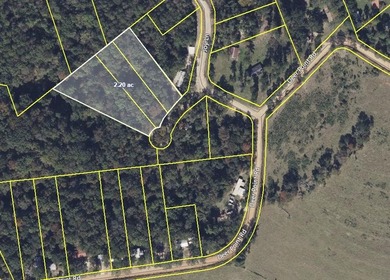 Lake Eufaula / Walter F. George Lot Sale Pending in Georgetown Georgia