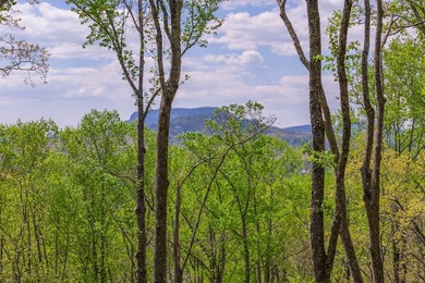 Between two North Carolina mountain ridges lies an expansive - photo 1