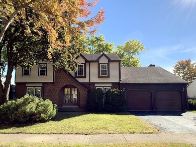 Lake Home For Sale in Naperville, Illinois