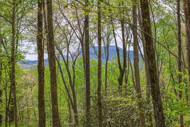 Between two North Carolina mountain ridges lies an expansive - photo 2