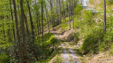 Between two North Carolina mountain ridges lies an expansive - photo 3
